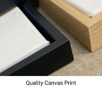 Canvas Print: "Open Way"